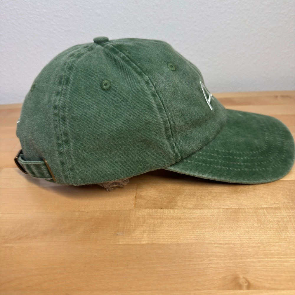 AG1 Athletic Greens Baseball Cap Green Never Waste a Day Adjustable Dad Hat - Picture 4 of 7
